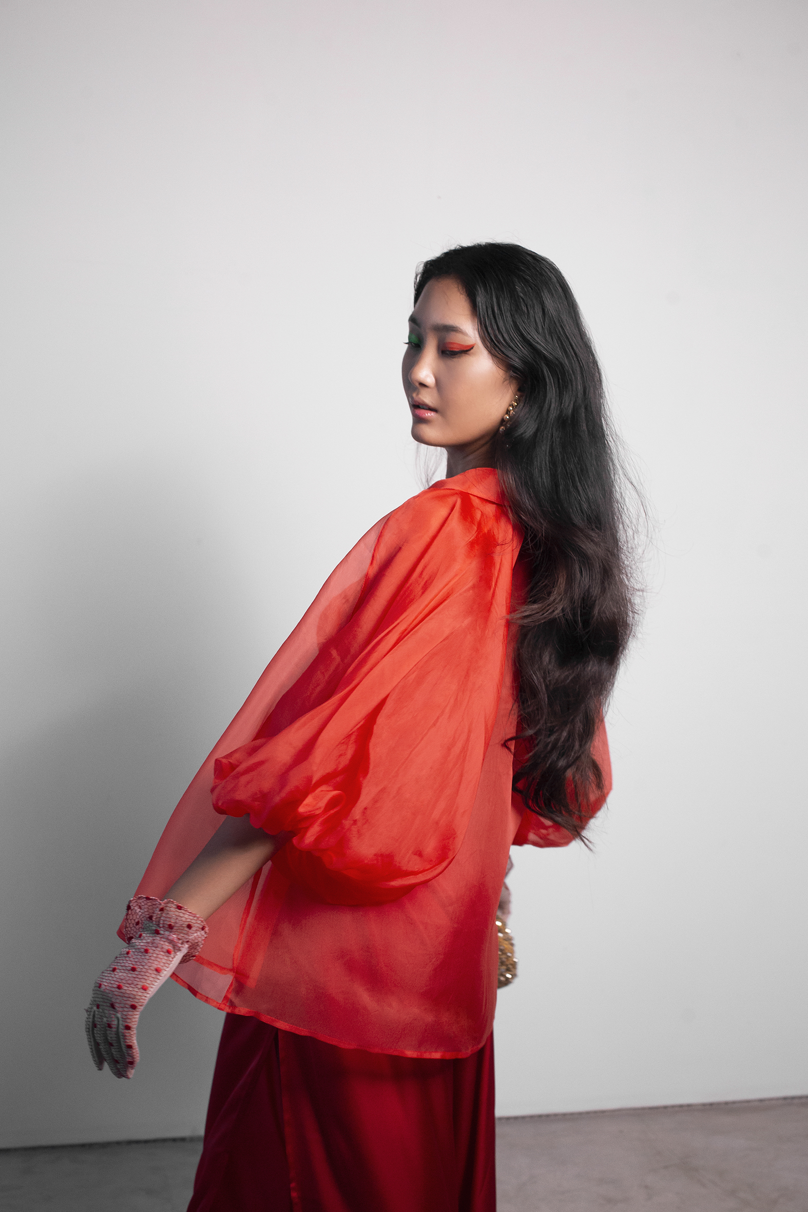 ORGANZA PUFF SLEEVE BLOUSE