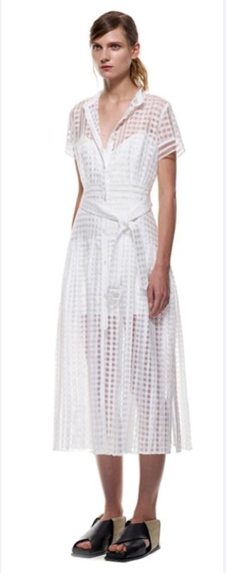 Self-Portrait Sheer Gingham Shirt Dress